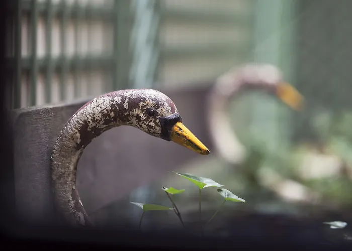 Maison Souquet, & 호텔 파리