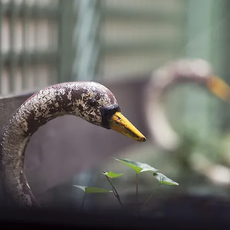 Maison Souquet, & فندق باريس